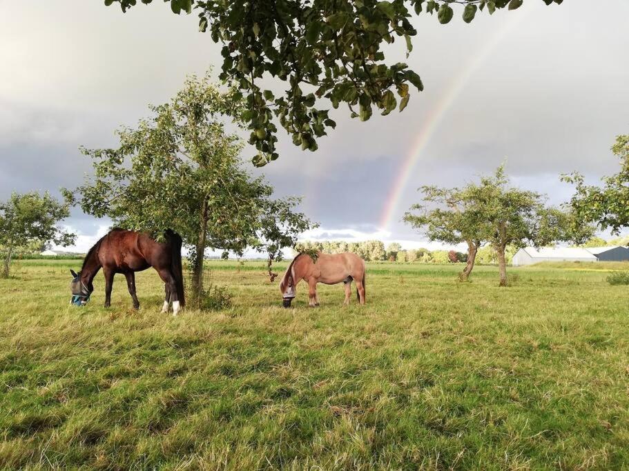 De Kaasmakerij - Ruim Vakantiehuisje Op Huize Blokland Hem Экстерьер фото