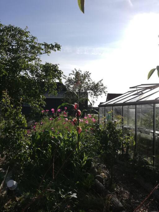 De Kaasmakerij - Ruim Vakantiehuisje Op Huize Blokland Hem Экстерьер фото